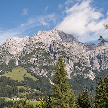 Chalet Steinberg Leogang Kültér fotó